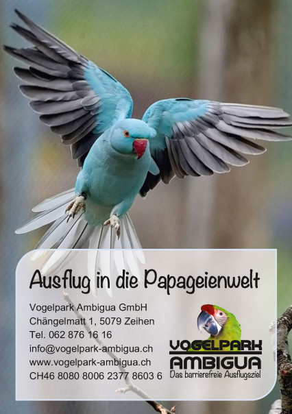 Flyer 2025
